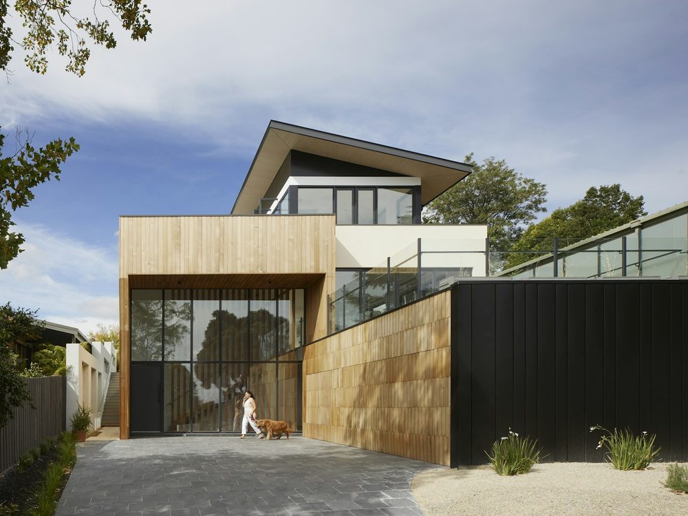 Silver Birch House